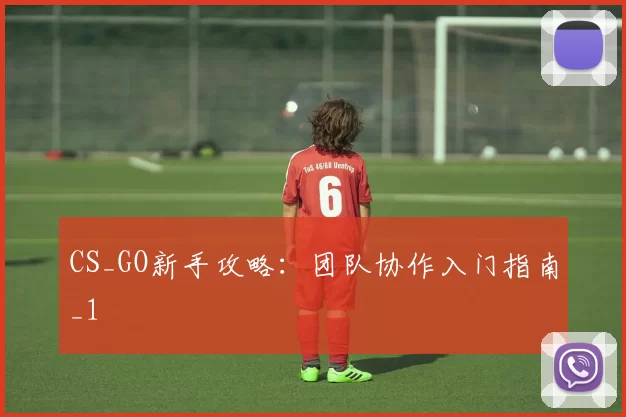 CS_GO新手攻略：团队协作入门指南_1