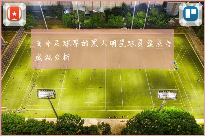 南非足球界的黑人明星球员盘点与成就分析