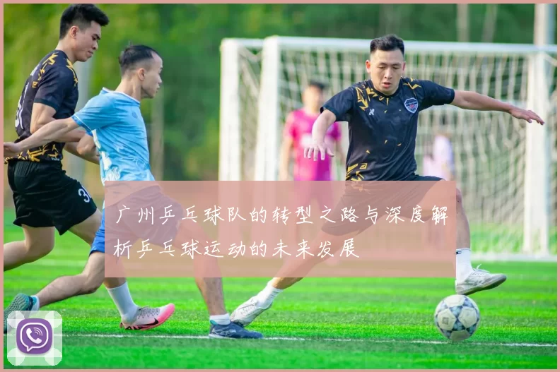 广州乒乓球队的转型之路与深度解析乒乓球运动的未来发展