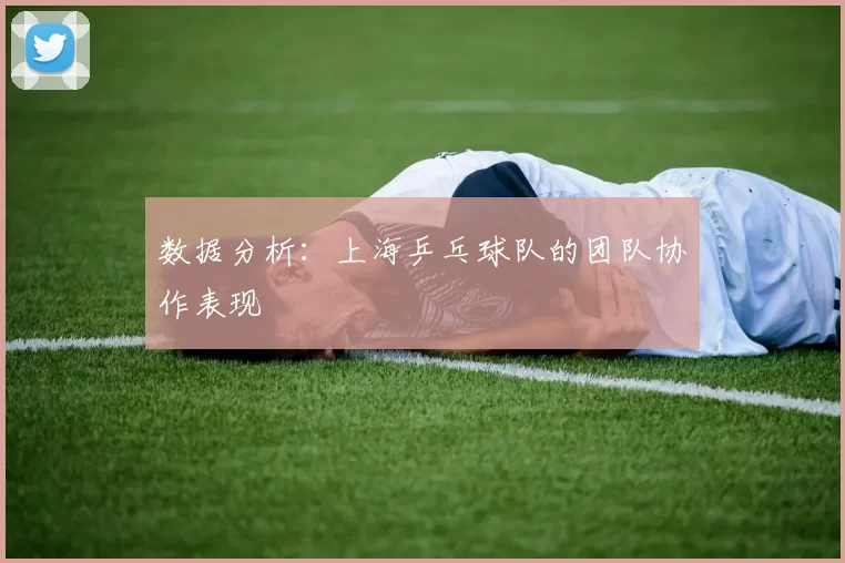 数据分析：上海乒乓球队的团队协作表现