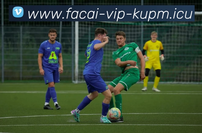 爱游戏体育APP 体育赛事宣传图